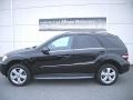 Black - ML 350 Photo No. 1