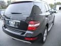 Black - ML 350 Photo No. 8