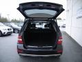 Black - ML 350 Photo No. 10