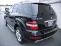 Black - ML 350 Photo No. 16