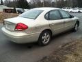 2007 Gold Ash Metallic Ford Taurus SE  photo #6