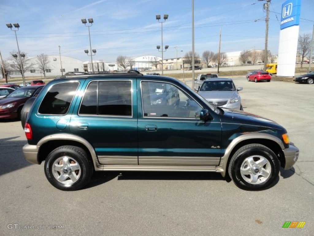 2001 Sportage EX 4x4 - Evergreen / Brown photo #6
