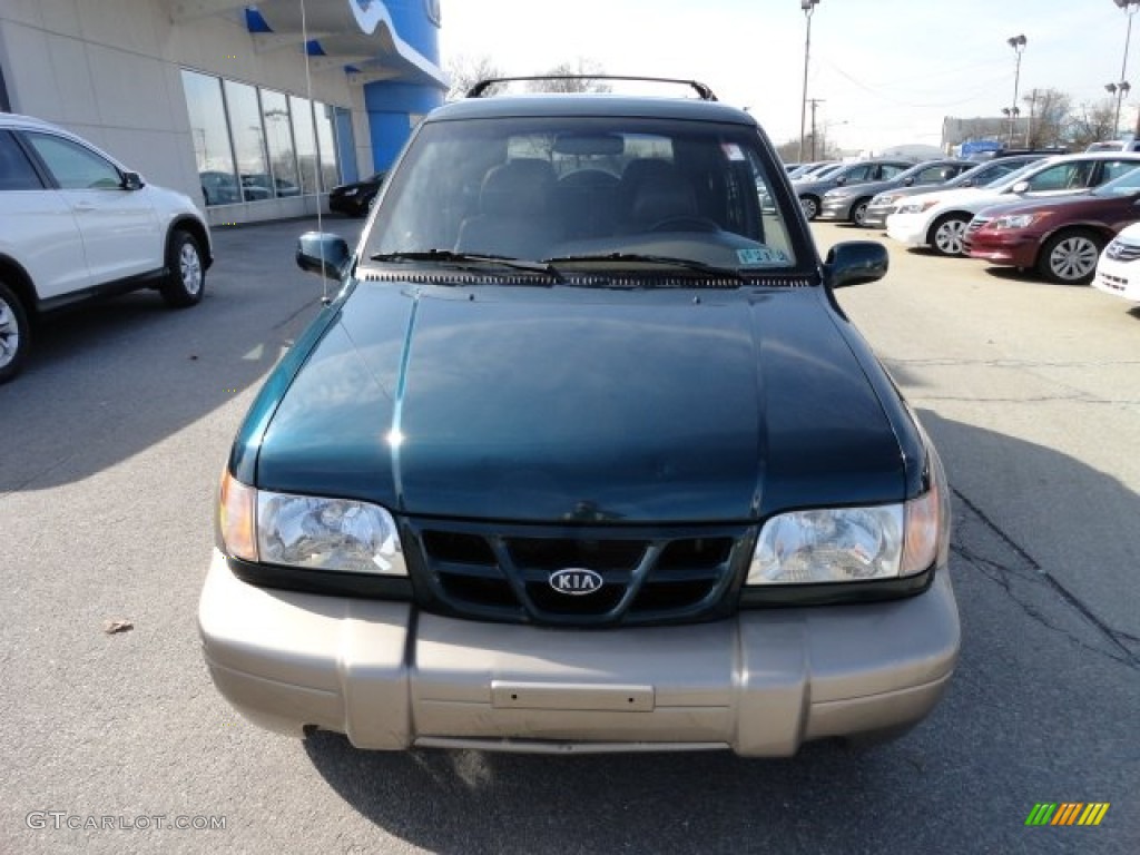 2001 Sportage EX 4x4 - Evergreen / Brown photo #9