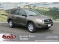 Pyrite Mica - RAV4 I4 4WD Photo No. 1