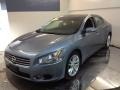 Ocean Gray - Maxima 3.5 SV Photo No. 1