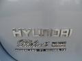 2010 Irridescent Silver Blue Metallic Hyundai Santa Fe SE  photo #18
