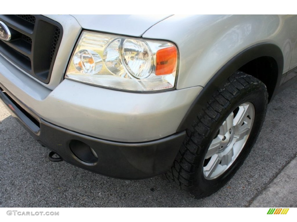 2006 F150 FX4 SuperCrew 4x4 - Silver Metallic / Black/Medium Flint photo #19