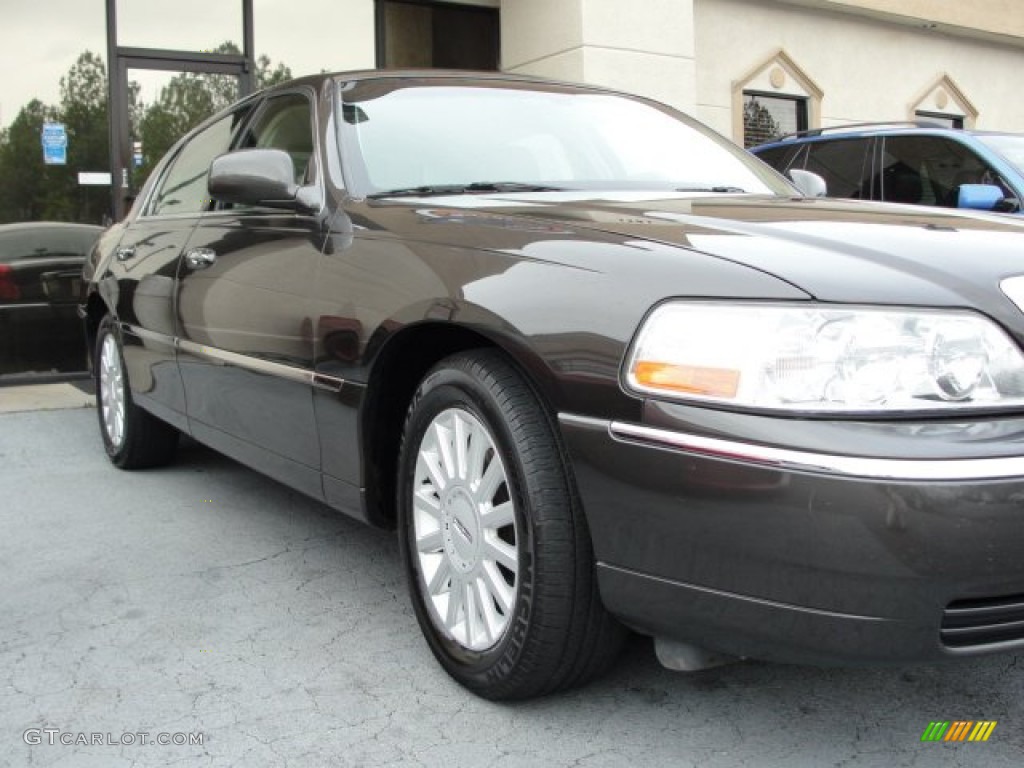 2005 Town Car Signature Limited - Charcoal Beige Metallic / Light Parchment/Medium Dark Parchment photo #9