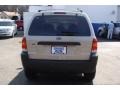 2005 Gold Ash Metallic Ford Escape XLT V6  photo #6