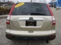 2007 Borrego Beige Metallic Honda CR-V EX 4WD  photo #6