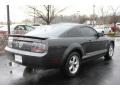 2007 Alloy Metallic Ford Mustang V6 Deluxe Coupe  photo #14