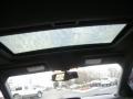 Ingot Silver Metallic - Focus SES Sedan Photo No. 16