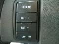 Ingot Silver Metallic - Focus SES Sedan Photo No. 22