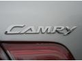 2010 Classic Silver Metallic Toyota Camry XLE V6  photo #9