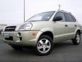 2008 Desert Sage Hyundai Tucson GLS  photo #1