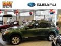 2012 Cypress Green Pearl Subaru Outback 3.6R Limited  photo #1