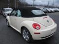 Harvest Moon Beige - New Beetle 2.5 Convertible Photo No. 8