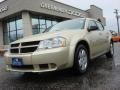 White Gold - Avenger SXT Photo No. 1