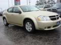 White Gold - Avenger SXT Photo No. 7