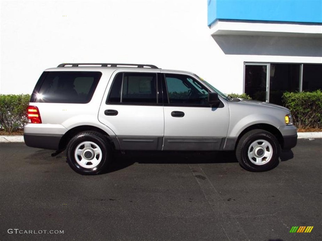 Silver Birch Metallic 2005 Ford Expedition XLS Exterior Photo #61731925