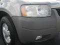 Light Parchment Gold Metallic - Escape XLT V6 Photo No. 2