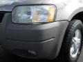 Light Parchment Gold Metallic - Escape XLT V6 Photo No. 4