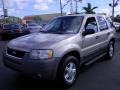 Light Parchment Gold Metallic - Escape XLT V6 Photo No. 5