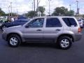 Light Parchment Gold Metallic - Escape XLT V6 Photo No. 6