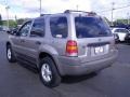 Light Parchment Gold Metallic - Escape XLT V6 Photo No. 8