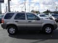 Light Parchment Gold Metallic - Escape XLT V6 Photo No. 12