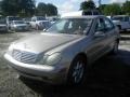 Pewter Silver Metallic - C 240 Sedan Photo No. 5