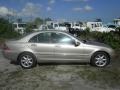 Pewter Silver Metallic - C 240 Sedan Photo No. 12