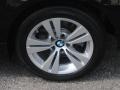 2009 BMW 5 Series 528i Sedan Wheel and Tire Photo