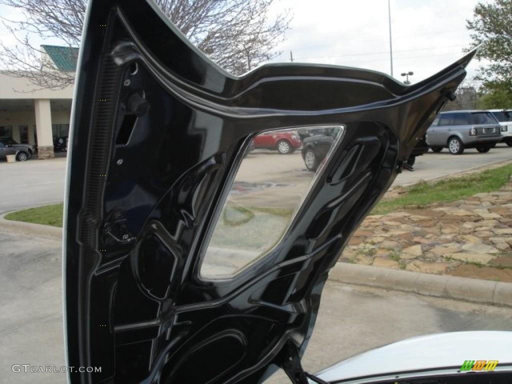 2010 Chevrolet Corvette ZR1 Transparent Hood Panel Photo #61746702