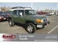 Army Green - FJ Cruiser 4WD Photo No. 1