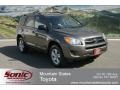 Pyrite Metallic - RAV4 I4 4WD Photo No. 1