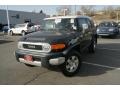 Black Diamond - FJ Cruiser 4WD Photo No. 4