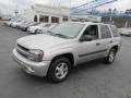 Silverstone Metallic - TrailBlazer LS 4x4 Photo No. 6