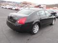 Onyx Black - Maxima 3.5 SL Photo No. 10