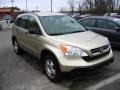 2007 Borrego Beige Metallic Honda CR-V LX 4WD  photo #1