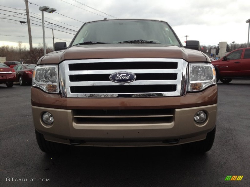 2011 Expedition XLT 4x4 - Golden Bronze Metallic / Camel photo #8