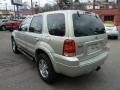 2005 Gold Ash Metallic Ford Escape Limited  photo #3