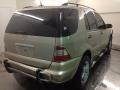 Pewter Metallic - ML 350 4Matic Photo No. 5