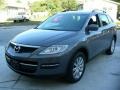 Galaxy Gray Mica - CX-9 Touring Photo No. 5