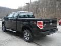 2012 Tuxedo Black Metallic Ford F150 STX SuperCab 4x4  photo #6