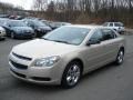 Gold Mist Metallic - Malibu LS Photo No. 4