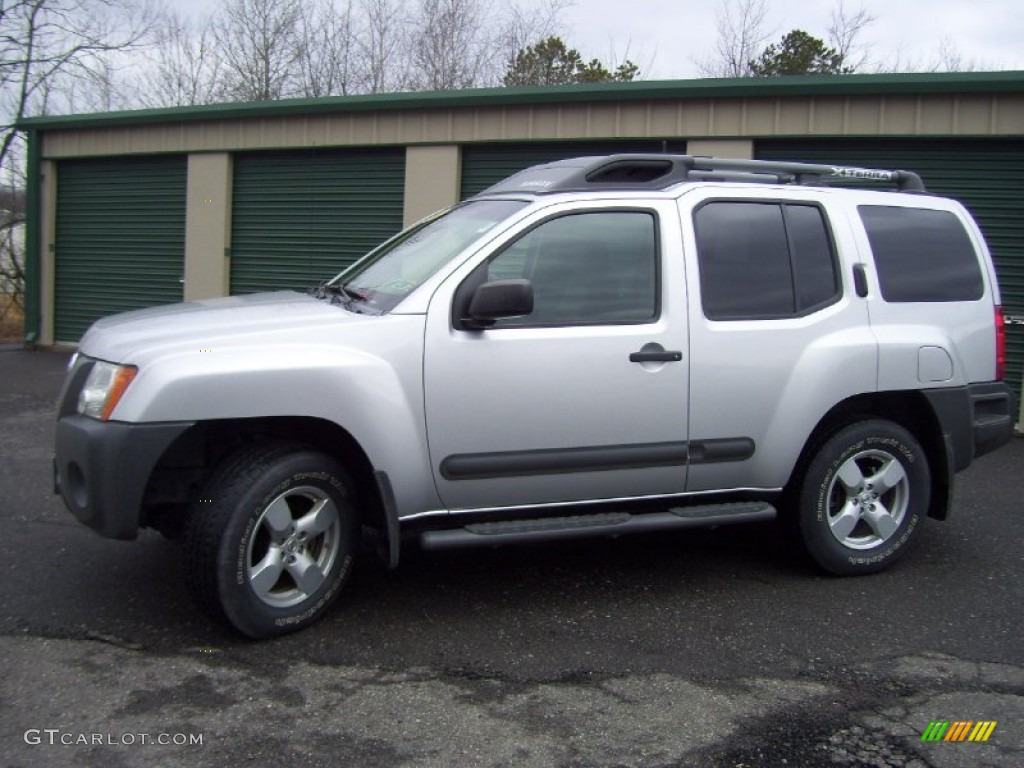 Silver Lightning Nissan Xterra