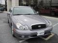 Steel Gray - Sonata LX V6 Photo No. 2