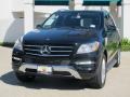 Black - ML 350 4Matic Photo No. 1