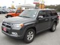 Magnetic Gray Metallic - 4Runner SR5 Photo No. 3